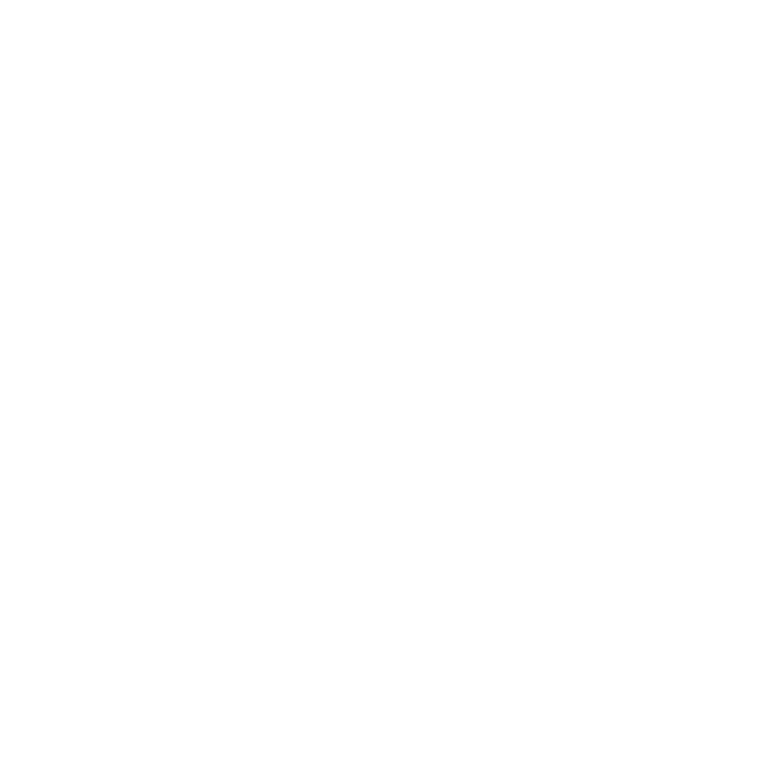 SLR Logo